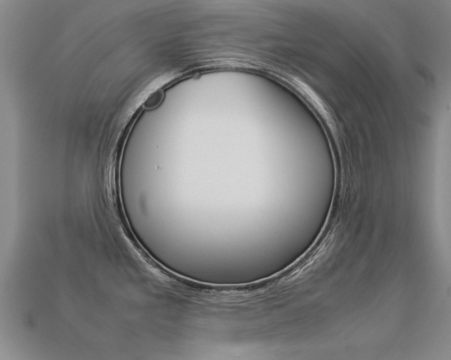 X0000113351293200909151018