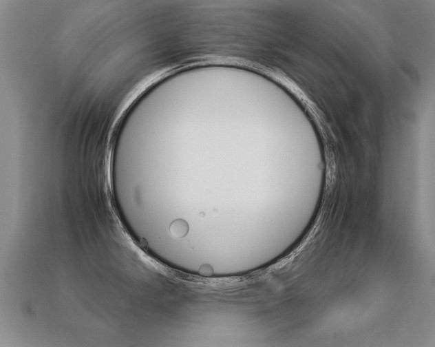 X0000113351294200909151018