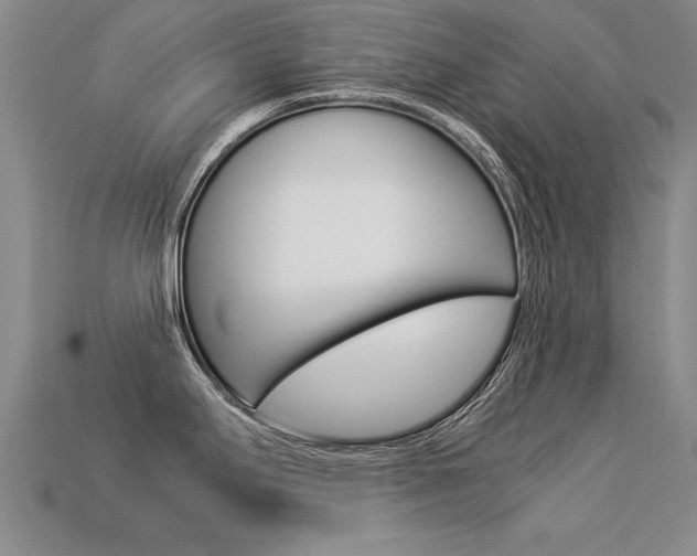 X0000113351295200909151018