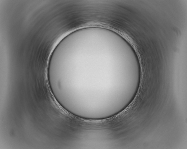 X0000113351296200909151018
