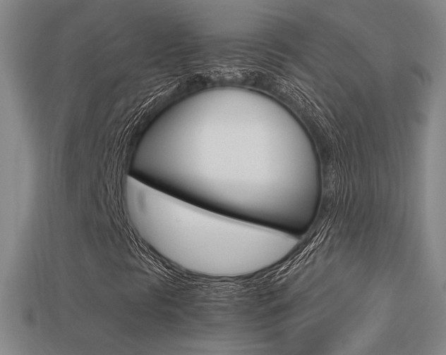 X0000113351297200909151018