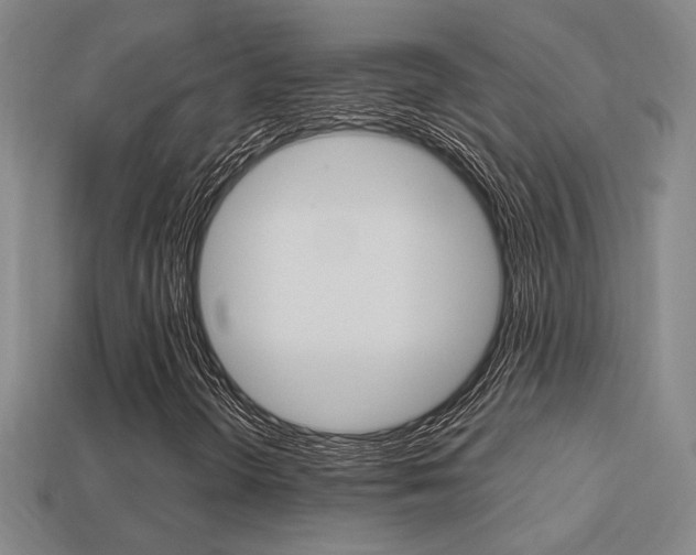 X0000113351298200909151018