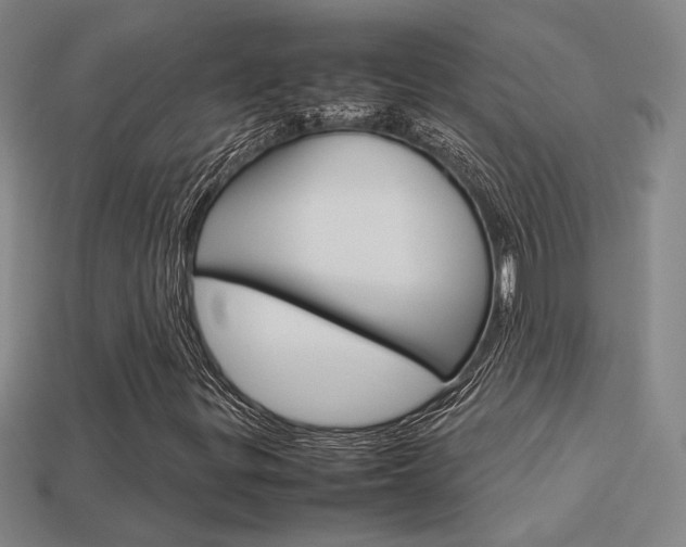 X0000113351299200909151018
