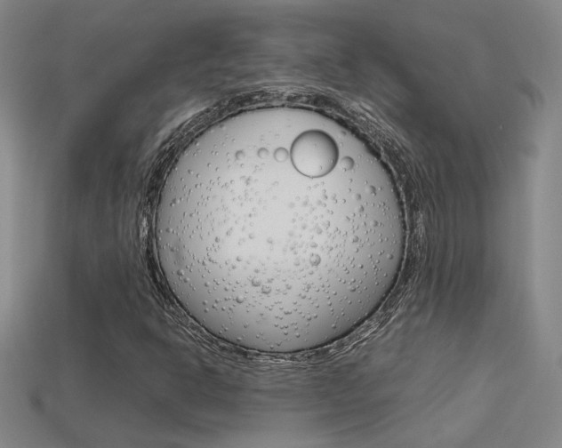 X0000113351302200909151018