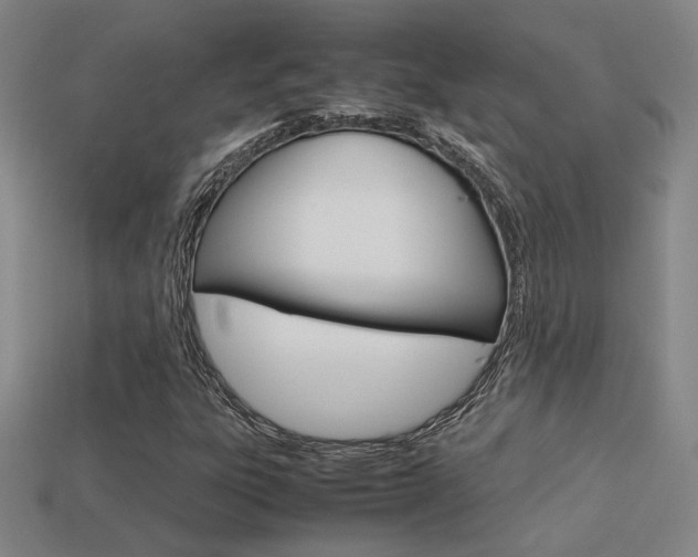 X0000113351303200909151018