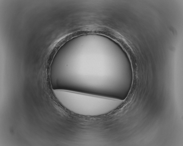 X0000113351304200909151018