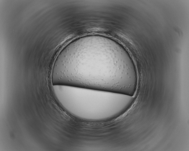 X0000113351305200909151018