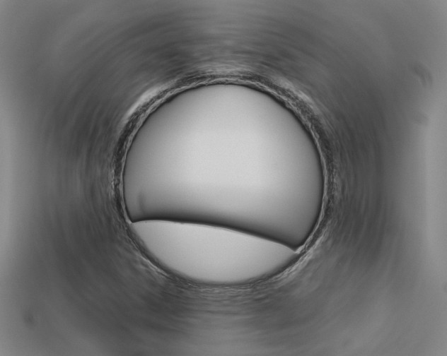 X0000113351306200909151018