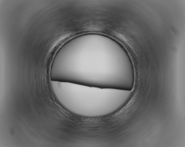 X0000113351307200909151018