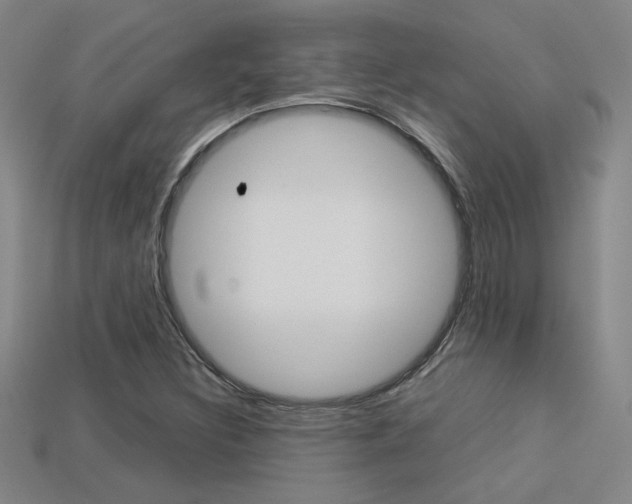 X0000113351308200909151018