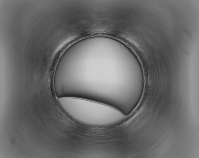 X0000113351309200909151018