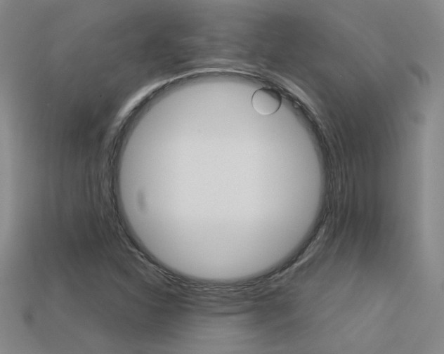 X0000113351310200909151018