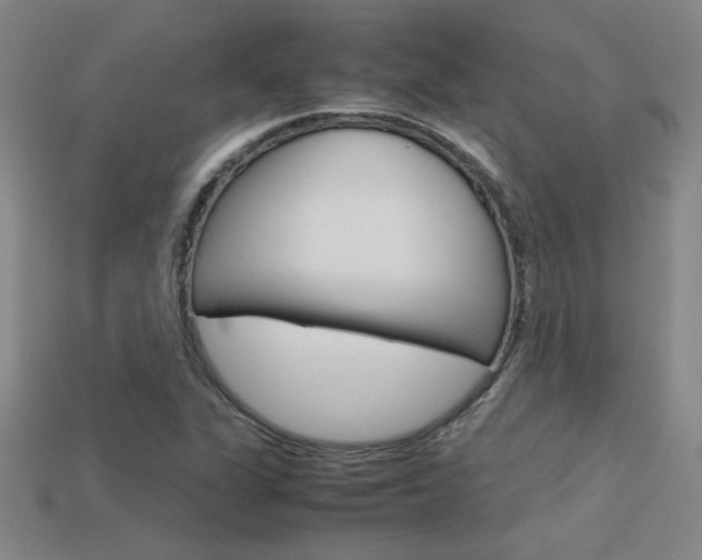 X0000113351311200909151018
