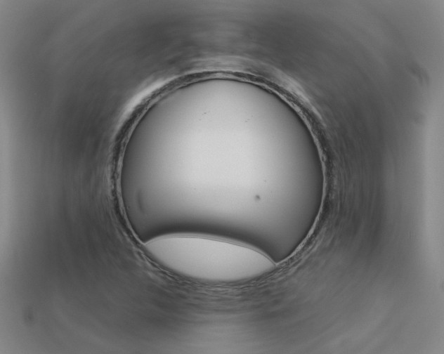 X0000113351312200909151018