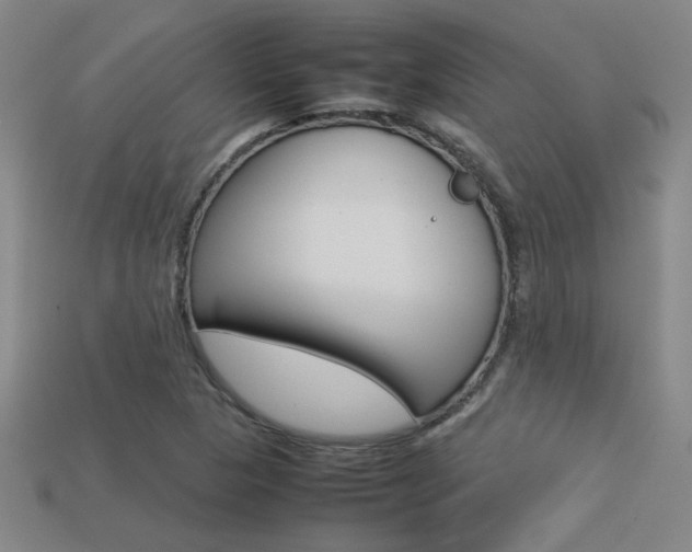X0000113351313200909151018