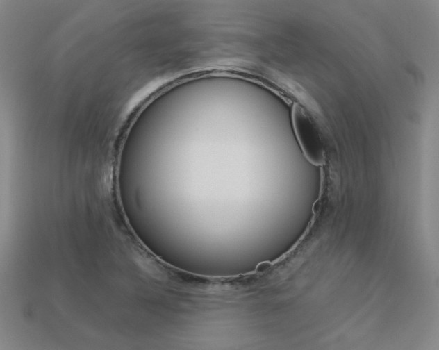 X0000113351316200909151018