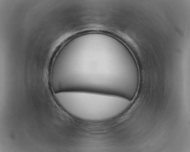 X0000113351318200909151018
