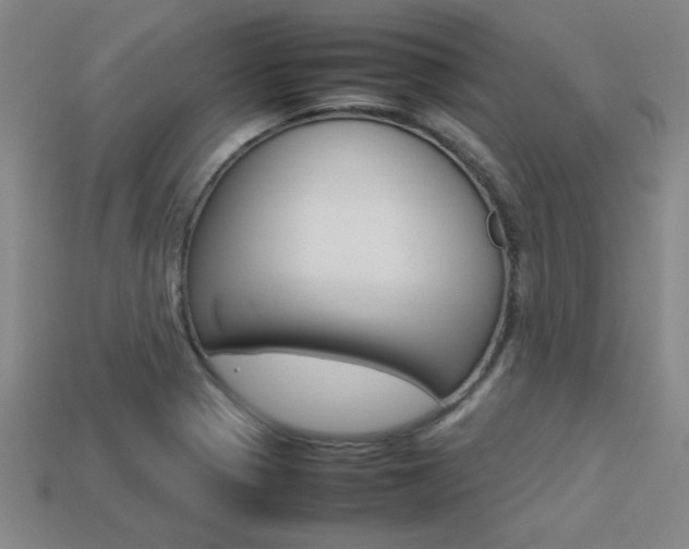 X0000113351321200909151018