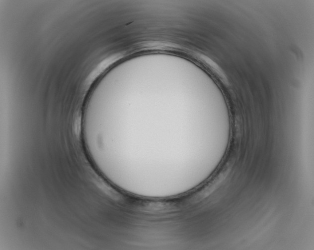 X0000113351322200909151018