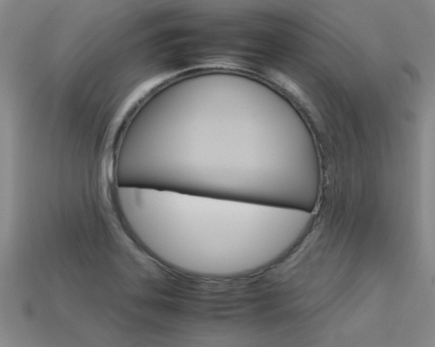 X0000113351323200909151018
