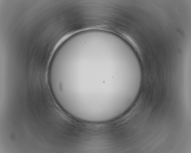 X0000113351324200909151018