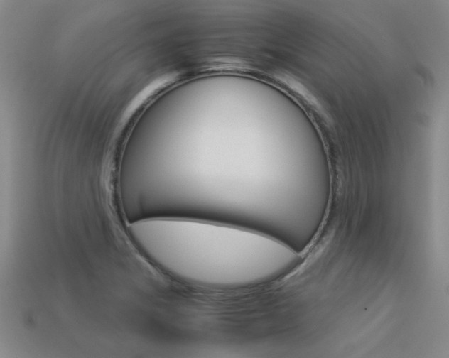 X0000113351325200909151018