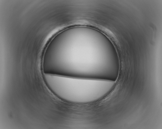 X0000113351326200909151018
