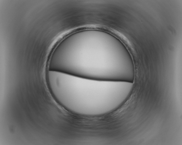 X0000113351327200909151018