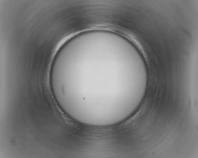 X0000113351328200909151018