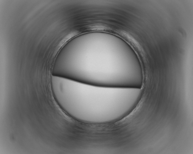 X0000113351329200909151018