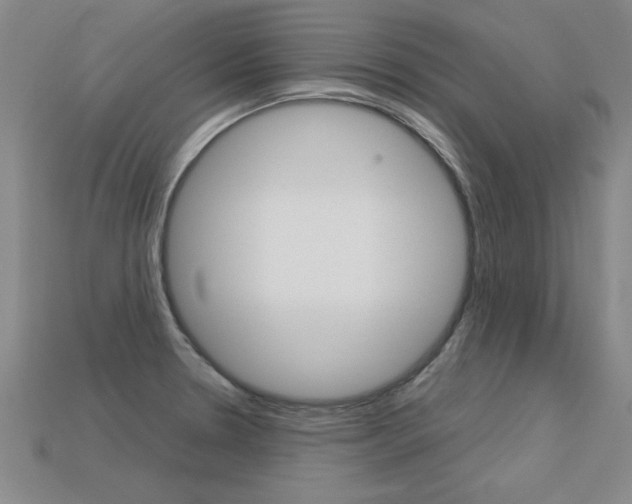 X0000113351330200909151018