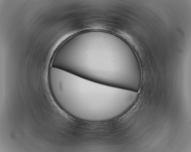 X0000113351331200909151018