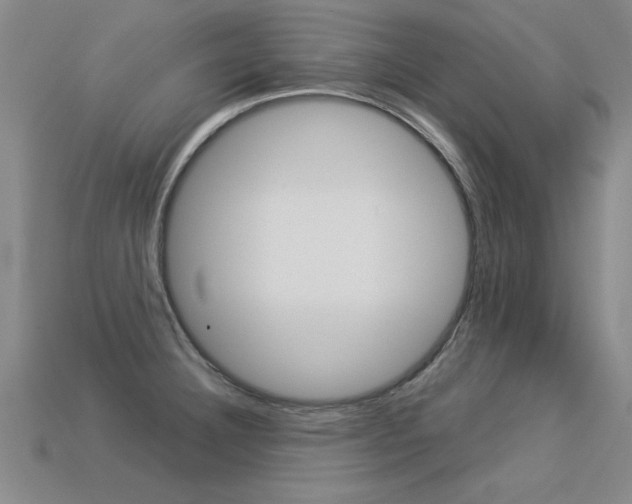 X0000113351332200909151018