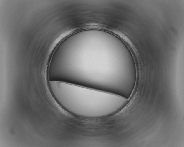 X0000113351333200909151018