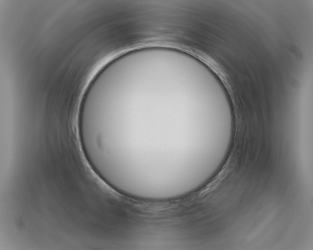 X0000113351334200909151018