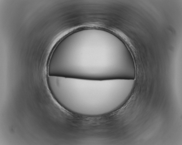 X0000113351335200909151018
