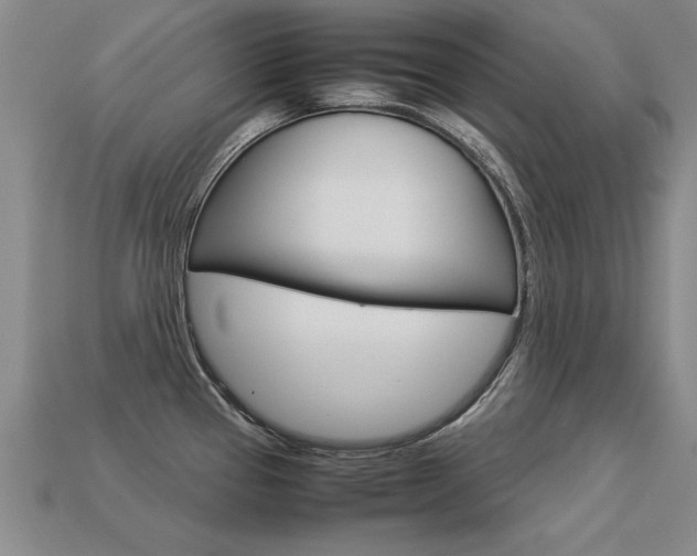 X0000113351337200909151018