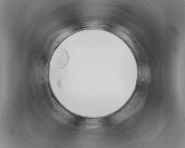 X0000113351338200909151018