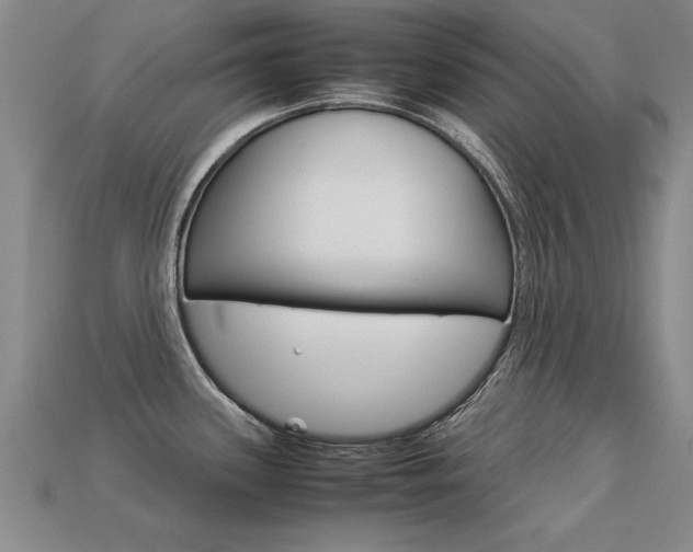 X0000113351339200909151018