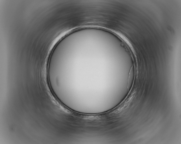 X0000113351341200909151018
