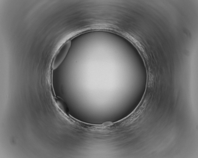 X0000113351342200909151018
