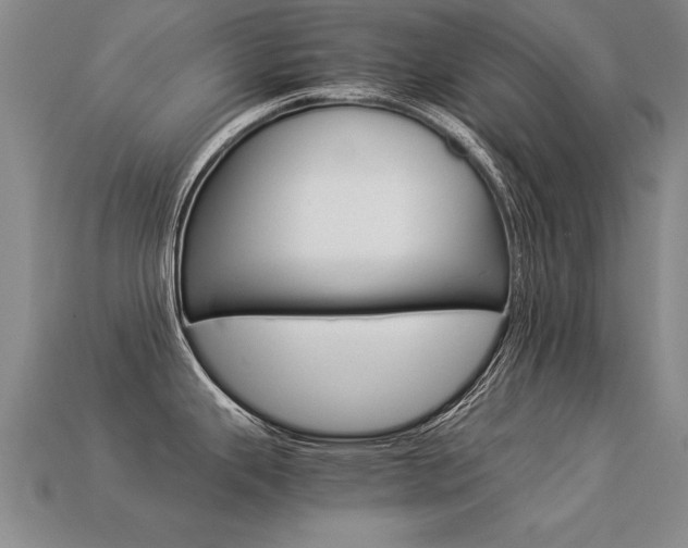 X0000113351343200909151018