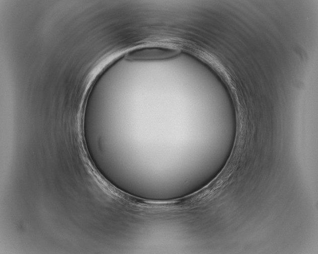 X0000113351344200909151018