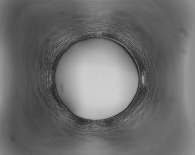 X0000113351347200909151018