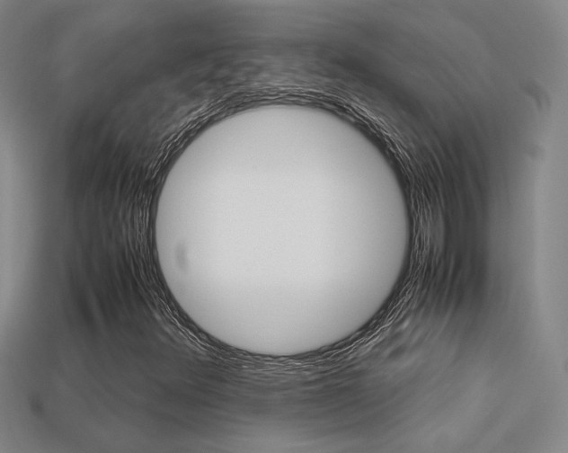 X0000113351348200909151018