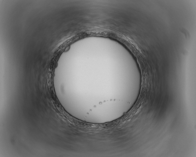 X0000113351350200909151018