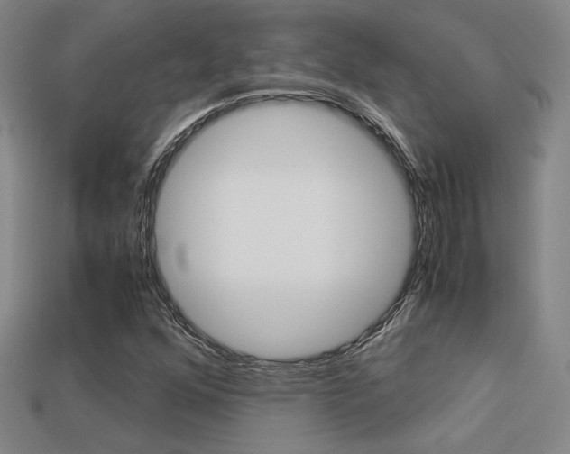 X0000113351352200909151018