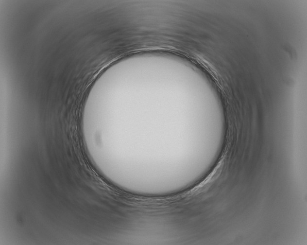 X0000113351353200909151018