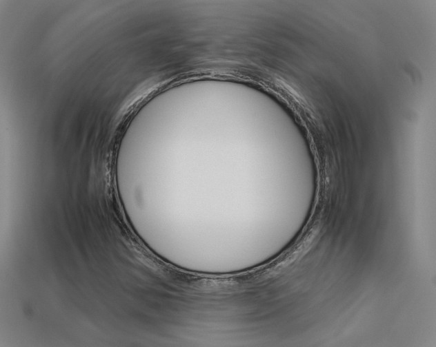 X0000113351354200909151018