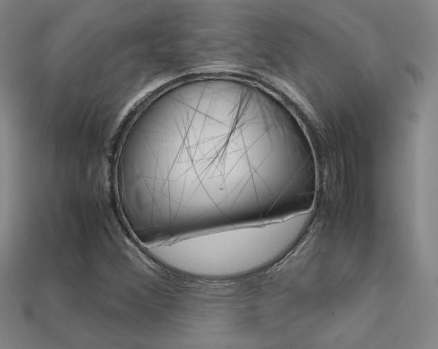 X0000113351356200909151018